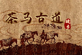 茶马古道徒步拓展方案